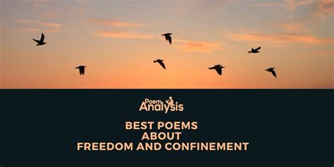 Top 10 Best Poems About Freedom and Confinement - Poem Analysis