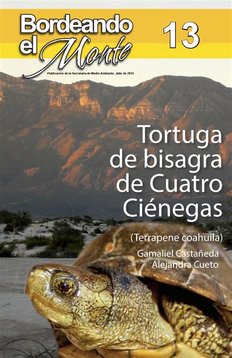 13 Tortuga Bisagra De Cuatro Ciénegas De Gamaliel Castañeda Y Alejandra Cueto By Colección