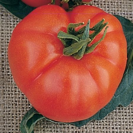 Tomate Antiguo N Herencia Super Marmande Semilla Org Nica Un