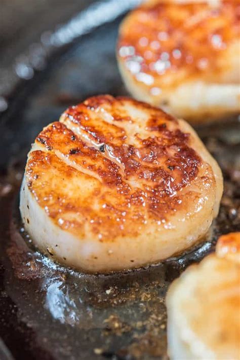 Seared Scallops Pan Seared Scallops How To Cook Scallops Scallop