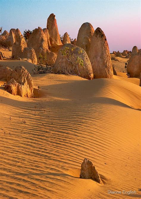 "Pinnacles , Cervantes WA" by Dianne English | Redbubble