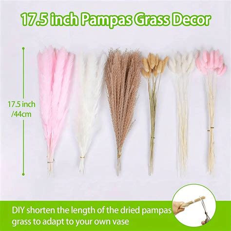 120pcs Dry Pampas Grass 17 Inches Pampas Grass Decoration White Pampas Grass Brown Pampas