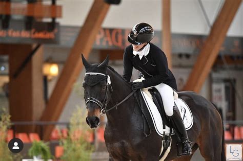 Hongre Hanovrien Dressage Cso ChevalAnnonce