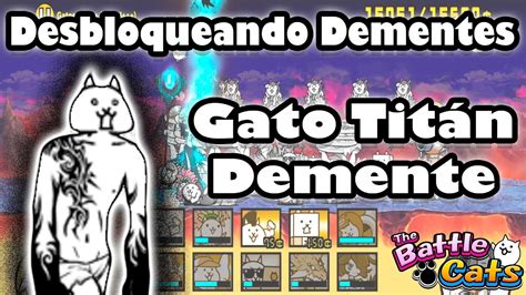 Derrotando Al Gato Tit N Demente Gatos Locos Dif Cil The