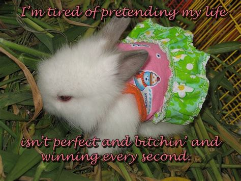 Cute Bunny Quotes Quotesgram