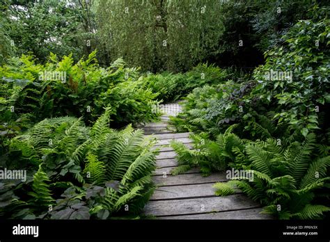 Curved Wooden Walkway Hi Res Stock Photography And Images Alamy