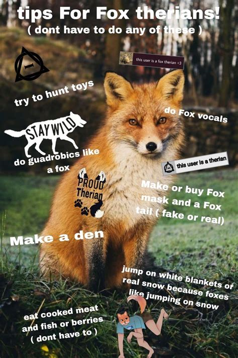 Tips For Fox Therians Tips For Fox Therians What Next Therian Otherkin