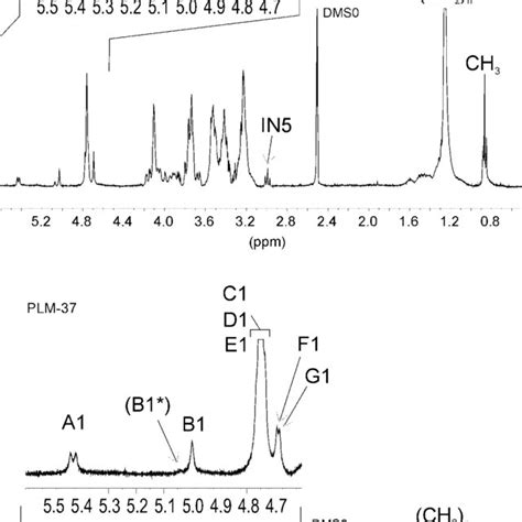 1 H Nuclear Magnetic Resonance Spectra Of Plm 28 And Plm 37 Signals A