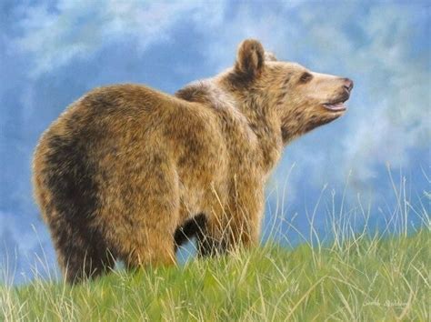 Stunning Bear Painting By David Shepherd Wildlife Artist