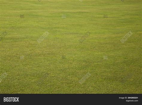 Golf Course Fairway Image & Photo (Free Trial) | Bigstock