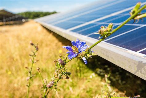 Der Solarpark Ist Meine Altersvorsorge SonneSammeln