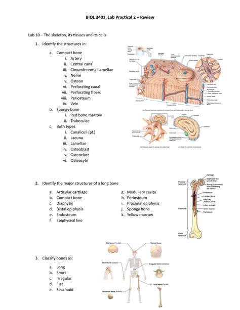 Exercise Physiology Quizlet Exam 1