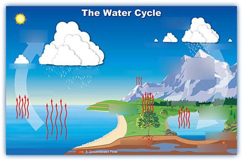 Hydrologic Cycle Diagram | Quizlet