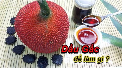 Dầu Gấc Cách Làm Dầu Gấc Rất đơn Giản Chia Sẽ Cách Làm Và Dùng