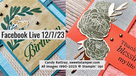 How To Make 2 Cards Using The Upcoming Sale A Bration DSP Softly