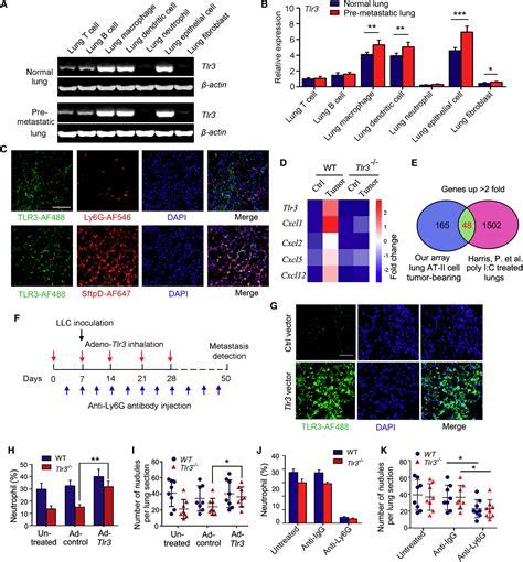 Tumor Exosomal RNAs Promote Lung Pre Metastatic Niche Formation By