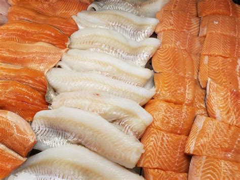 Fresh fish fillet stock photo. Image of fillet, view - 142728296