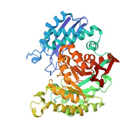 RCSB PDB 7V67 Crystal Structure Of Enolase1 From Candida Albicans