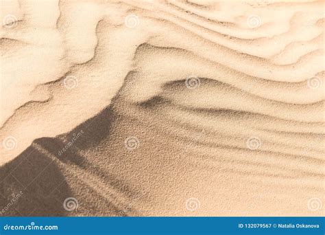 Textura De La Duna De Arena En Cierre Del Desierto Para Arriba Imagen