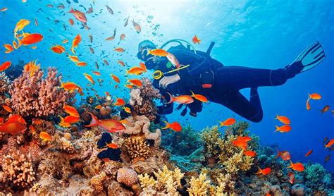 Scuba Diving Experience The Oberoi Beach Resort Mauritius