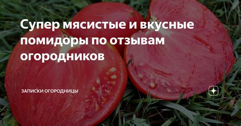 Супер мясистые и вкусные помидоры по отзывам огородников | Записки ...