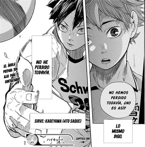 Pin By Belen Fernandez On Animes Haikyuu Manga Haikyu Haikyuu