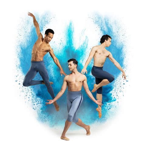 The Company - Sarasota Ballet