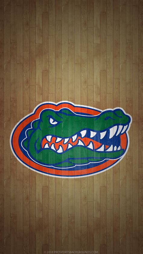 Top Florida Gators Wallpaper Full Hd K Free To Use