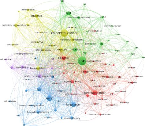 Figure 4 From The Research Advances In Kirsten Rat Sarcoma Viral