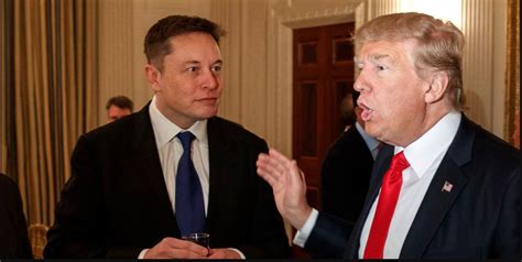 Il Sondaggio Di Elon Musk Sul Ritorno Di Trump Su Twitter Vox Populi