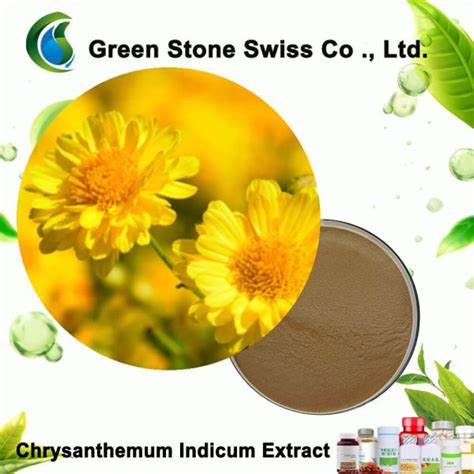 Buy Chrysanthemum Indicum Extract Pricesupplymanufacturer From Green