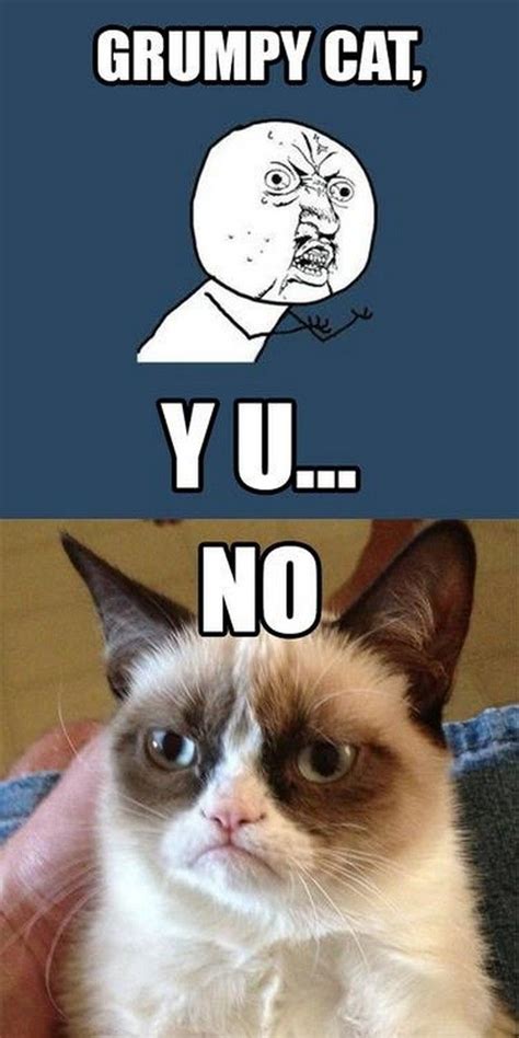 Y U No Grumpy Cat Quote Humor Meme GrumpyCat Meme Funny P Funny