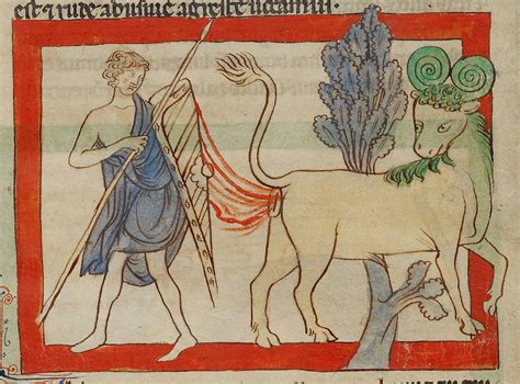 The Bonnacon, Laughing Stock of the Medieval Bestiary | Getty Iris