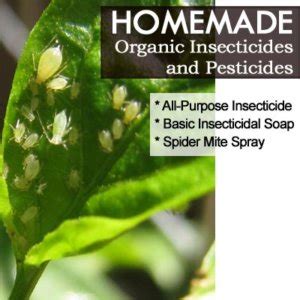 Organic insecticides and pesticides - eodop