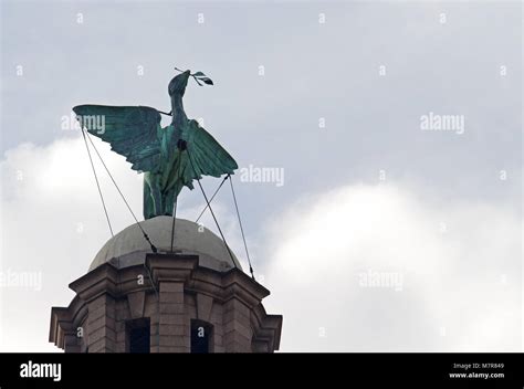 The Liver Bird On Top Of The Royal Liver Buildings In Liverpool Uk