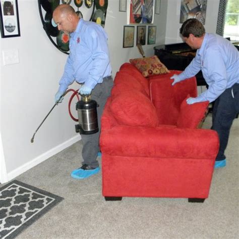 Flea Treatment - The Pest Force » The Pest Force