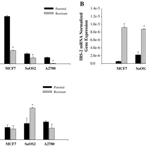 Rna Expression Of Mdr Mrp And Bcrp Mrna Expression Measured By Real