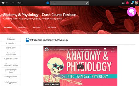 Anatomy Physiology Crash Course Revision Frog Schools Education