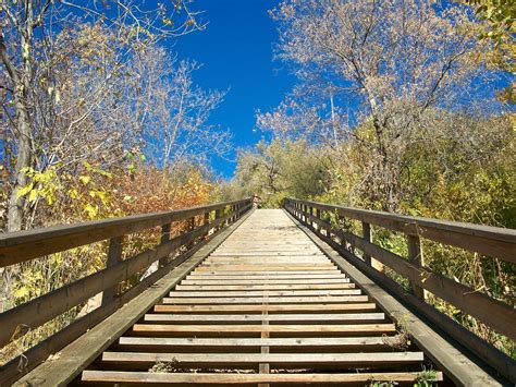 Free Images Tree Track Bridge Sunlight Leaf Flower Walkway