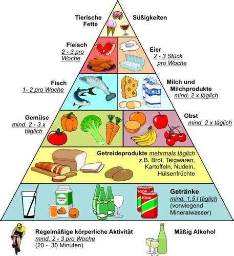 Determinanten Von Gesundheit Und Krankheit Karteikarten Quizlet