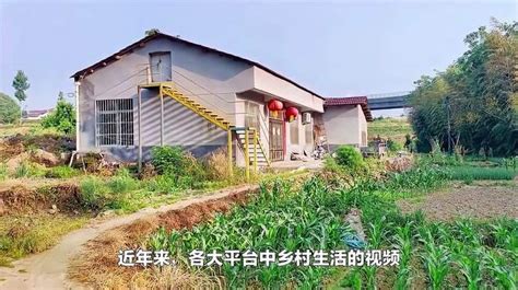 辞职返乡种地，轻松年入50万？农民给出忠告：年轻人千万别上头 三农视频 搜狐视频