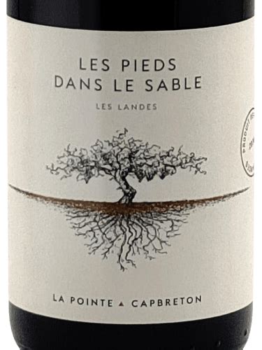 2022 Domine De La Pointe Les Pieds Dans Le Sable Rouge Vivino US