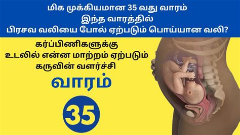 35 Weeks Pregnant Symptoms In Tamil 35 Weeks Pregnant Baby Position In