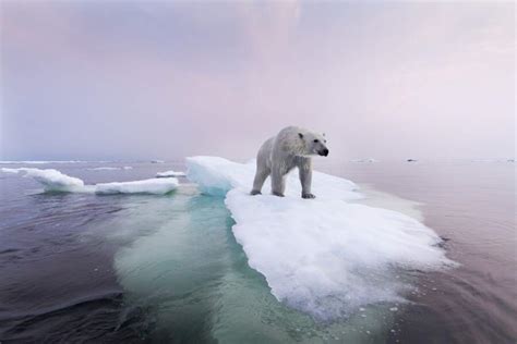 10 photos qui révèlent le visage du changement climatique GEO