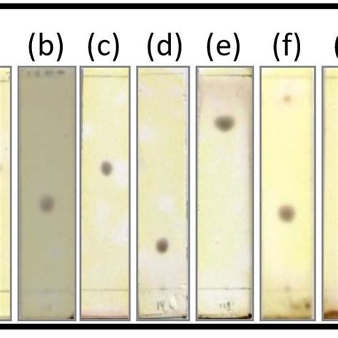 Profiles Of Tlc Chromatogram Of Fraction D A Eluent N Hexane Ethyl Download Scientific