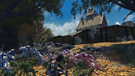 Flowers At Skyrim Special Edition Nexus Mods And Community