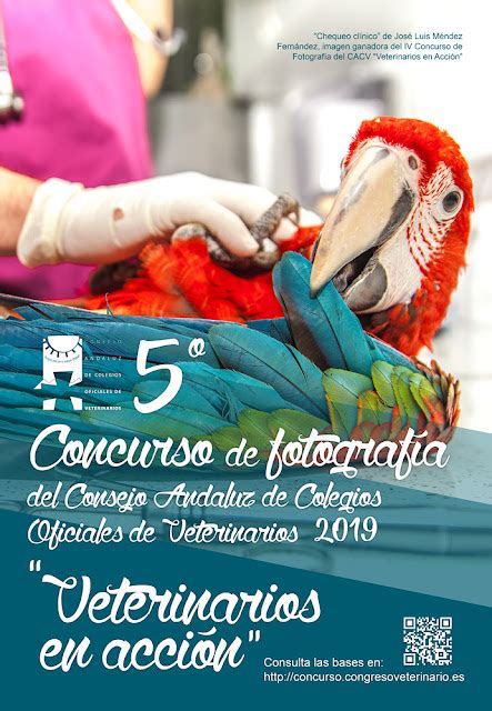 Convocado El V Concurso De FotografÍa Veterinarios En AcciÓn Del Consejo Andaluz De