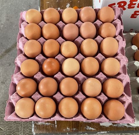 LARGE TRAY of EGGS - Over Farm Market