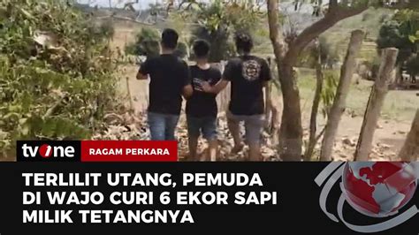 Seorang Pemuda Nekat Curi Sapi Milik Tetangga Akibat Terlilit Utang