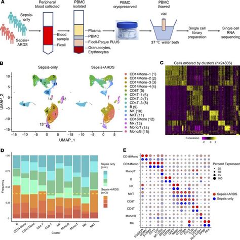 Jci Insight Single Cell Rna Sequencing Identifies An Early Monocyte